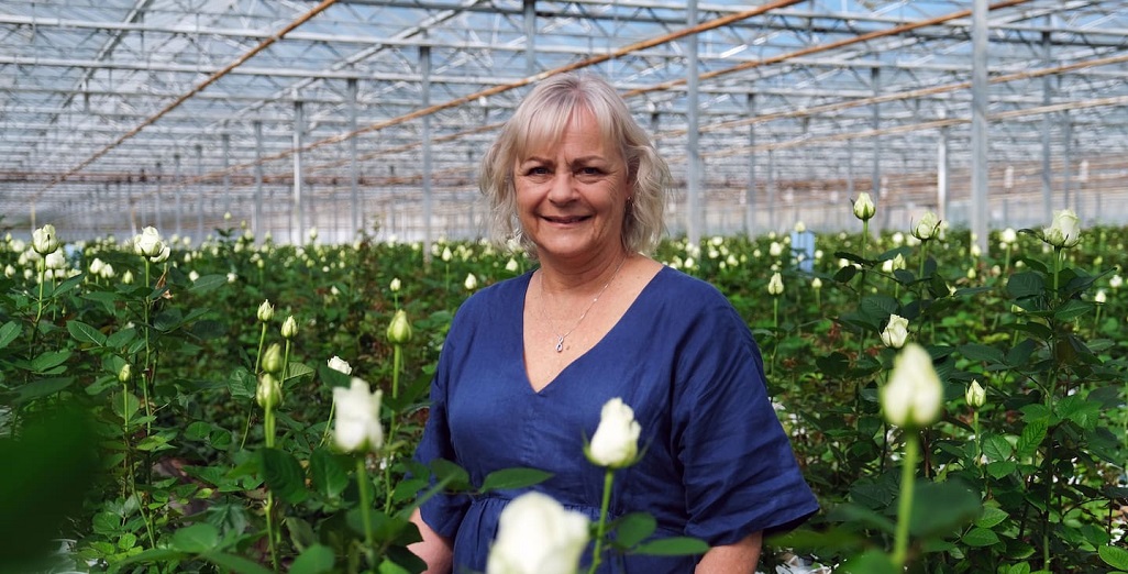 Auckland plant nursery goes electric in pilot scheme