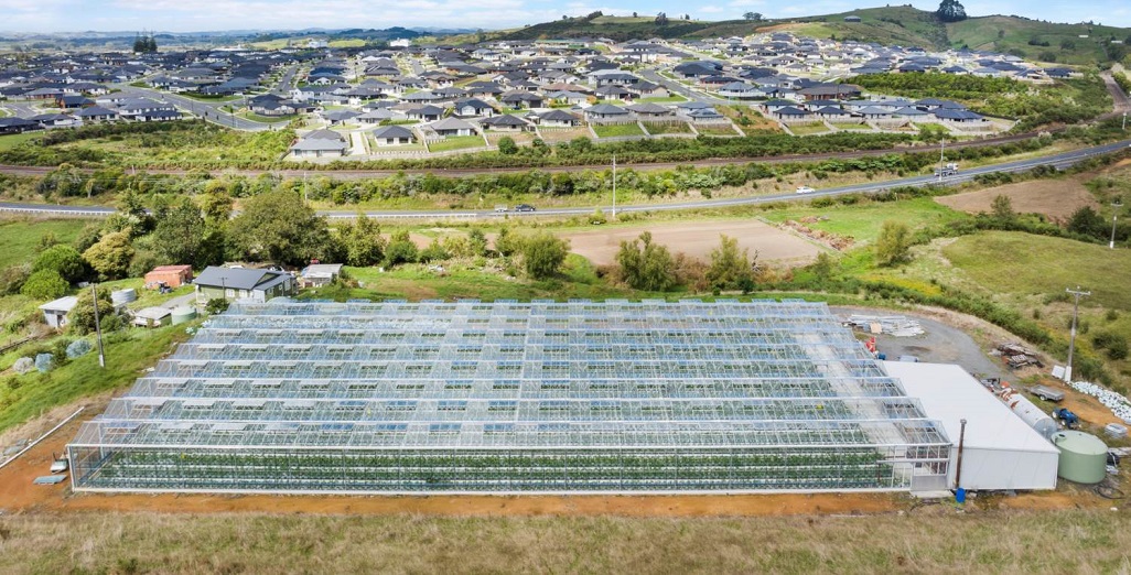 Glasshouse + Potential Land Investment on 4.86ha