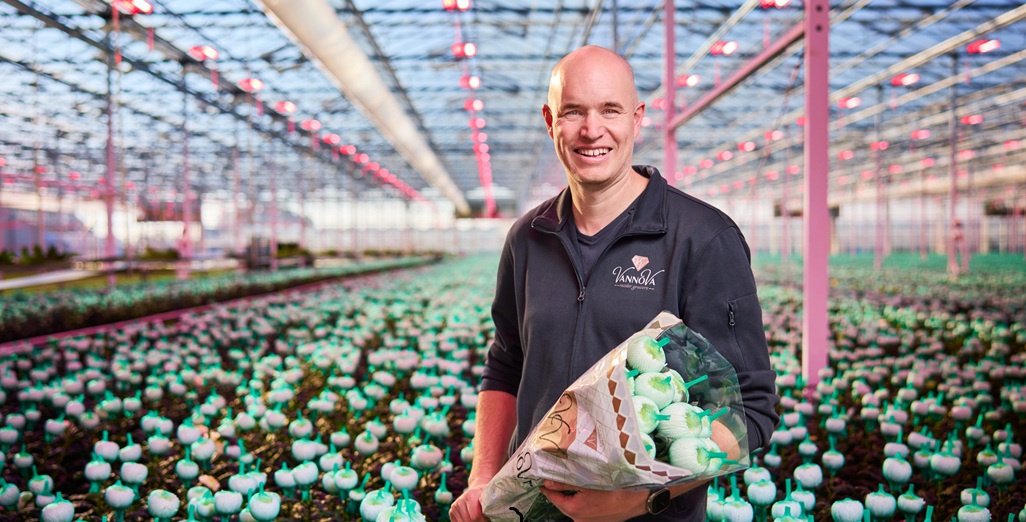 Intelligent Philips LED lighting at J&A Chrysanten optimizes production and energy efficiency